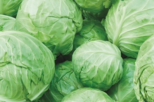 Cabbage 30188796